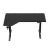Hero 9.1 Electric Desk