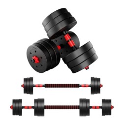 Set of bitumen dumbbells Lion 2.0