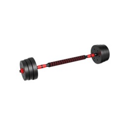 Set of bitumen dumbbells Lion 2.0