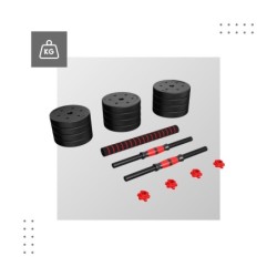 Set of bitumen dumbbells Lion 2.0