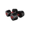Set of bitumen dumbbells Lion 2.0