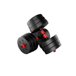 Set of bitumen dumbbells Lion 2.0